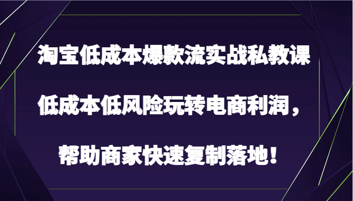 淘宝低成本爆款流实战私教课，低成本低风险玩转电商利润，帮助商家快速复制落地！-热爱者网创