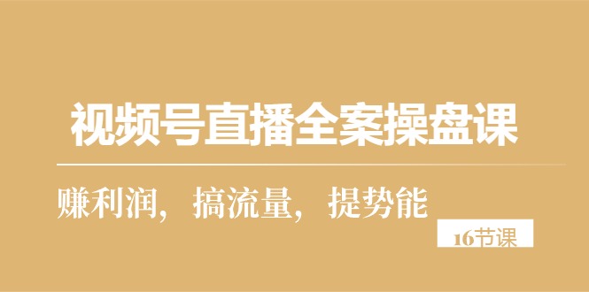 （10207期）视频号直播全案操盘课，赚利润，搞流量，提势能（16节课）-热爱者网创