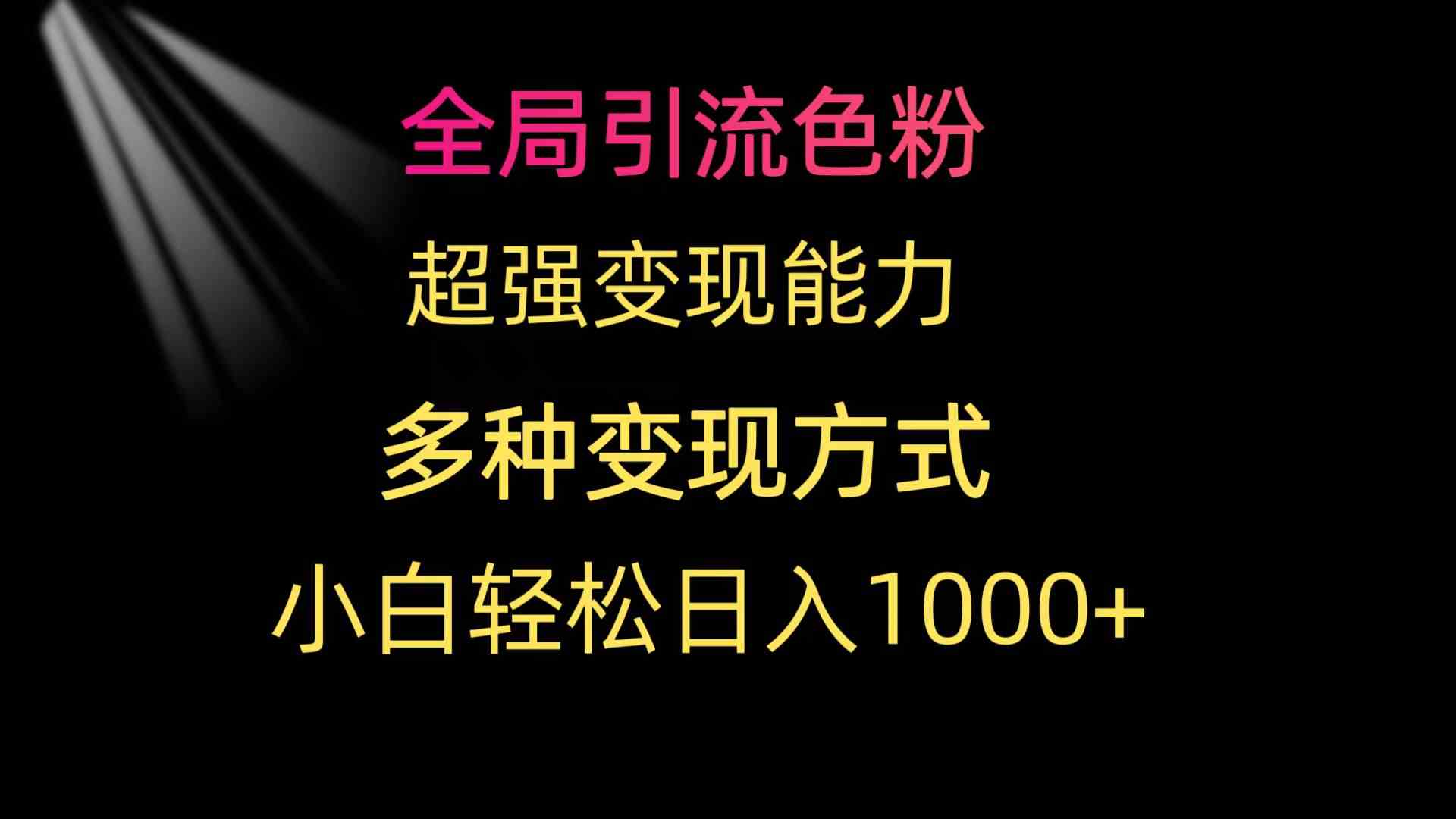 （9680期）全局引流色粉 超强变现能力 多种变现方式 小白轻松日入1000+-热爱者网创