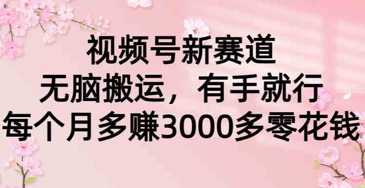 （9277期）视频号新赛道，无脑搬运，有手就行，每个月多赚3000多零花钱-热爱者网创