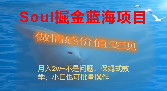 Soul掘金蓝海项目细分赛道，做情感价值变现，月入2w+不是问题-热爱者网创