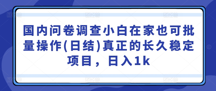 国内问卷调查小白在家也可批量操作(日结)真正的长久稳定项目，日入1k【揭秘】-热爱者网创