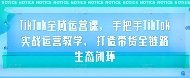 TikTok全域运营课，手把手TikTok实战运营教学，打造带货全链路生态闭环-热爱者网创