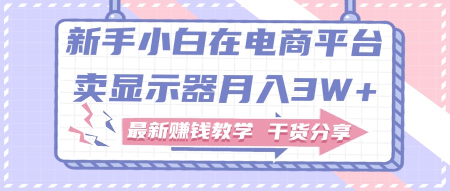 新手小白如何做到在电商平台卖显示器月入3W，最新赚钱教学干货-热爱者网创