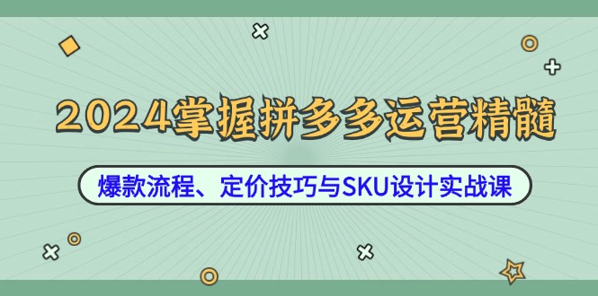 2024掌握拼多多运营精髓：爆款流程、定价技巧与SKU设计实战课-热爱者网创