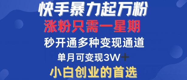 快手暴力起万粉，涨粉只需一星期，多种变现模式，直接秒开万合，单月变现过W【揭秘】-热爱者网创