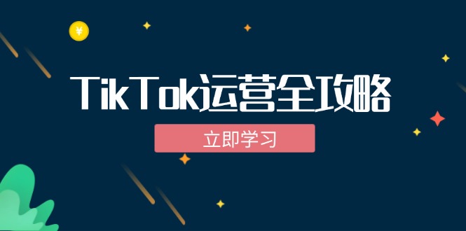 TikTok实战运营全攻略：从下载软件到变现，抖音海外版实操教程-热爱者网创