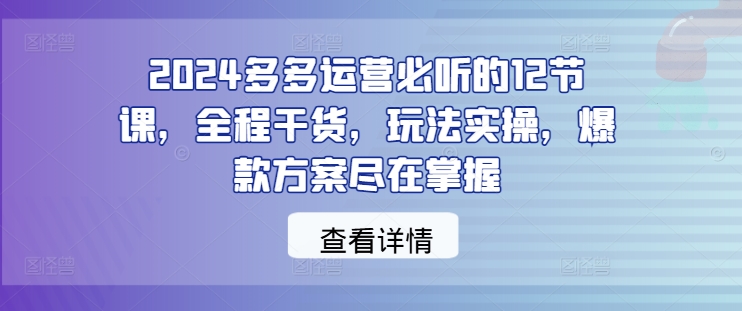 2024多多运营必听的12节课，全程干货，玩法实操，爆款方案尽在掌握-热爱者网创