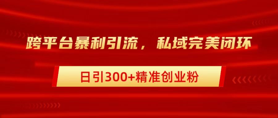 跨平台暴力引流，私域完美闭环，日引300+精准创业粉-热爱者网创