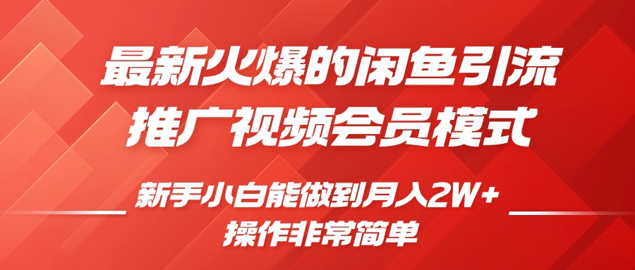 最新火爆的闲鱼引流推广视频会员，新手小白能做到月入2W+-热爱者网创