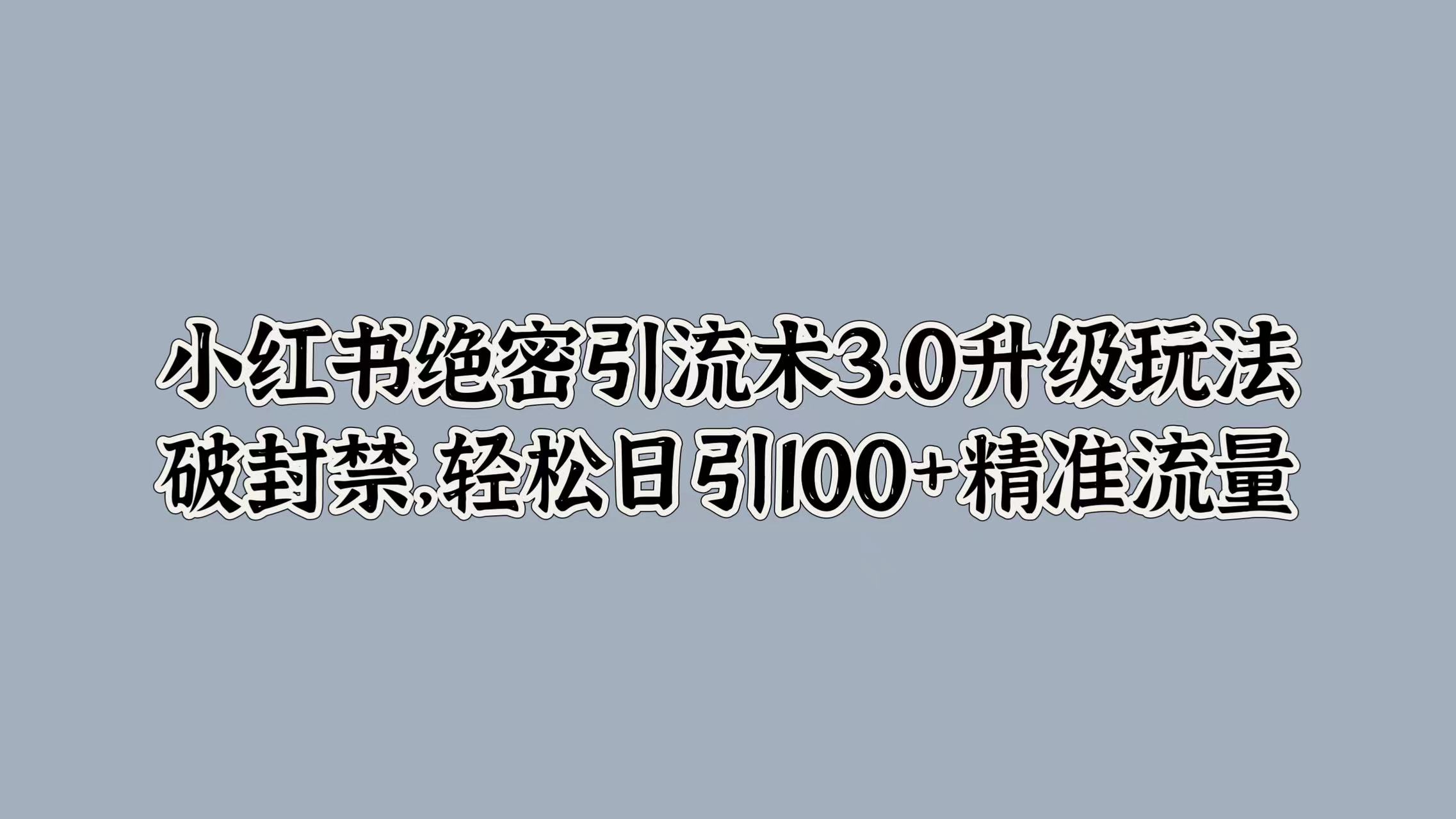 小红书绝密引流术3.0升级玩法，破封禁，轻松日引100+精准流量-热爱者网创