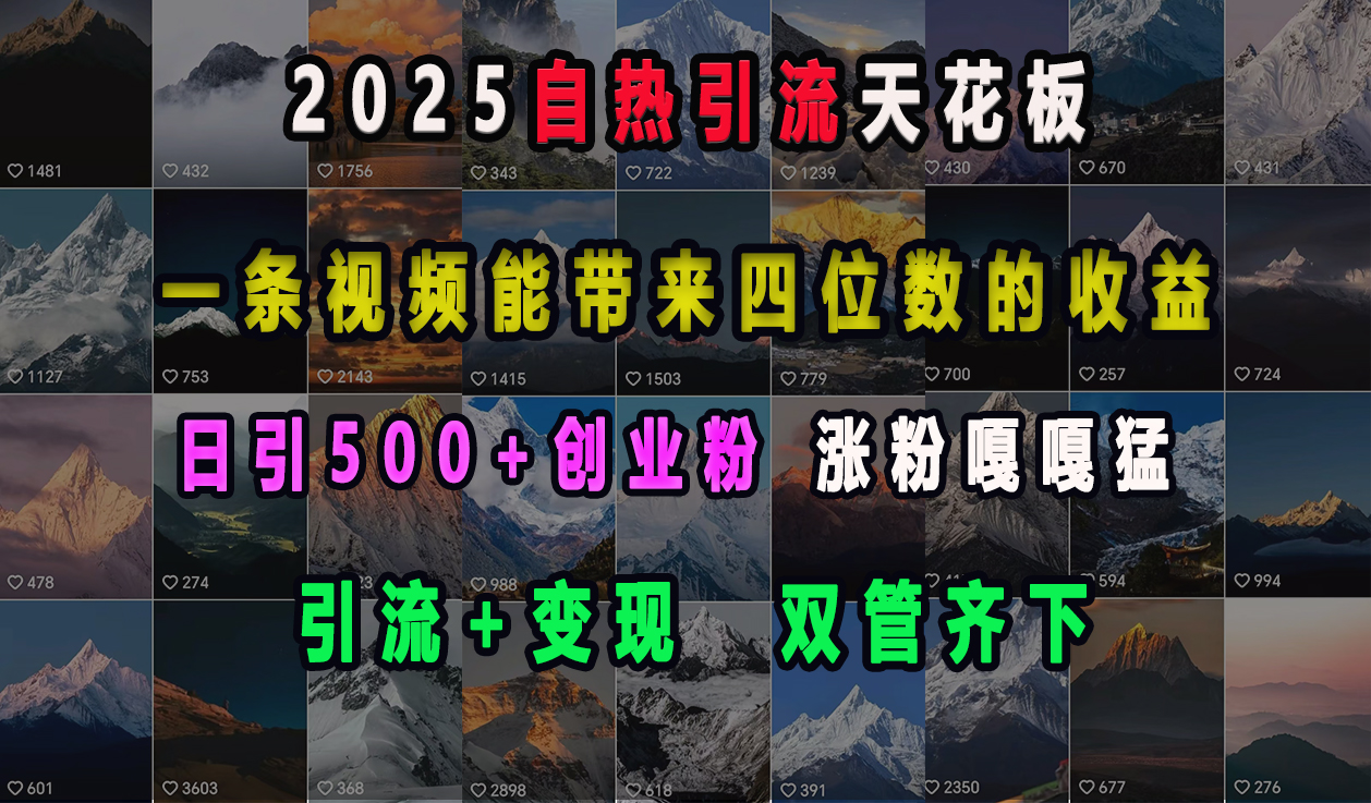 2025自热引流天花板，一条视频能带来四位数的收益，引流+变现双管齐下，日引500+创业粉，涨粉嘎嘎猛-热爱者网创