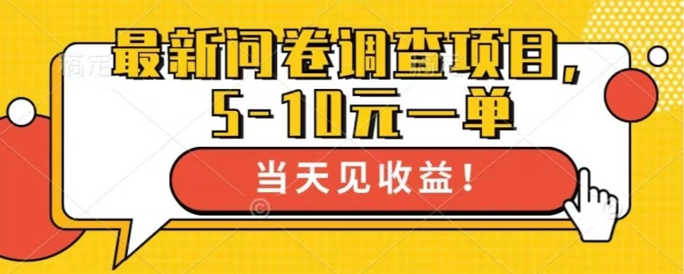 最新问卷调查项目，共12个平台，单日零撸100＋-热爱者网创