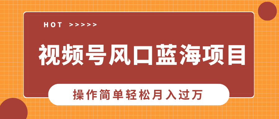 视频号风口蓝海项目，中老年人的流量密码，操作简单轻松月入过万-热爱者网创