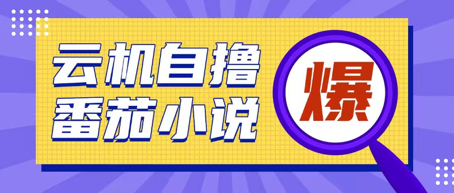 首发云手机自撸小说玩法，10块钱成本可撸200+收益操作简单【揭秘】-热爱者网创