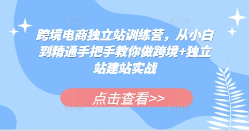 跨境电商独立站训练营，从小白到精通手把手教你做跨境+独立站建站实战-热爱者网创