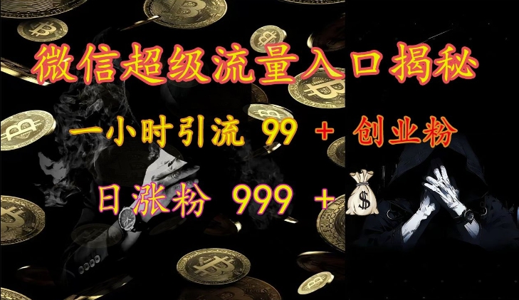 微信超级流量入口揭秘：一小时引流 99 + 创业粉，日涨粉 999 +-热爱者网创